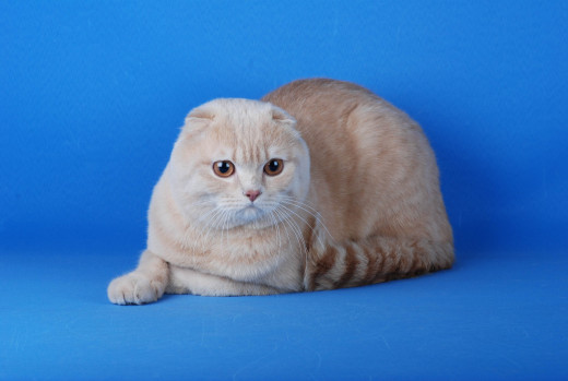 586224 (a): :3872x2592